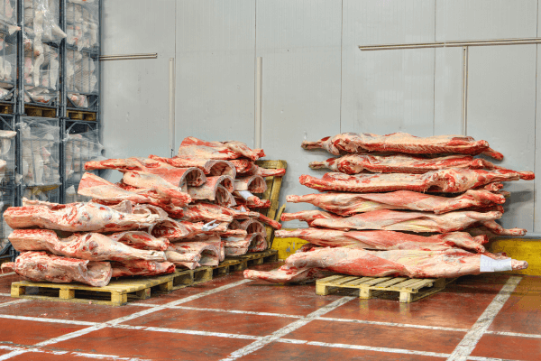 Cold Storage
